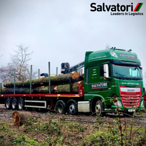 Salvatori heavy haulage trailer transporting logs