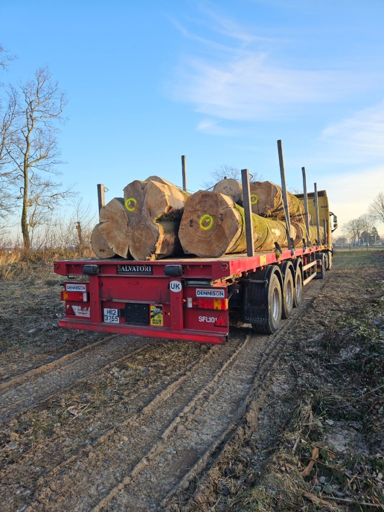 Salvatori truck loaded with timber logs in France